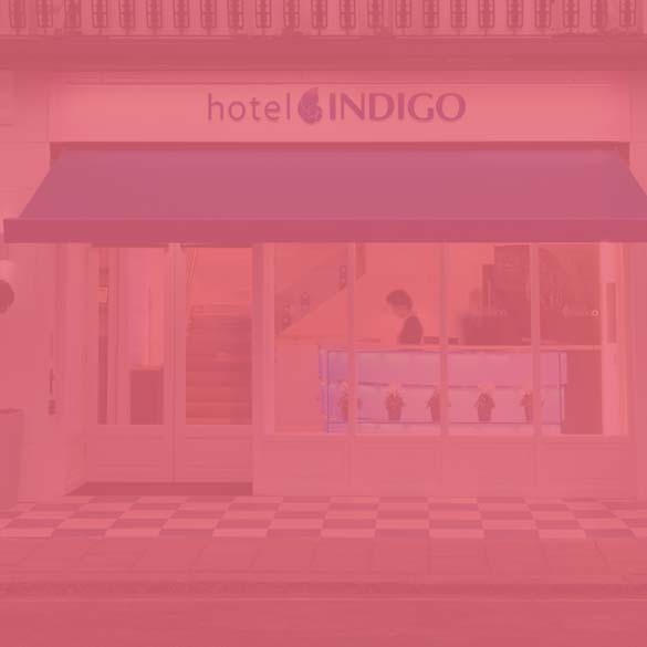 Indigo Paddington